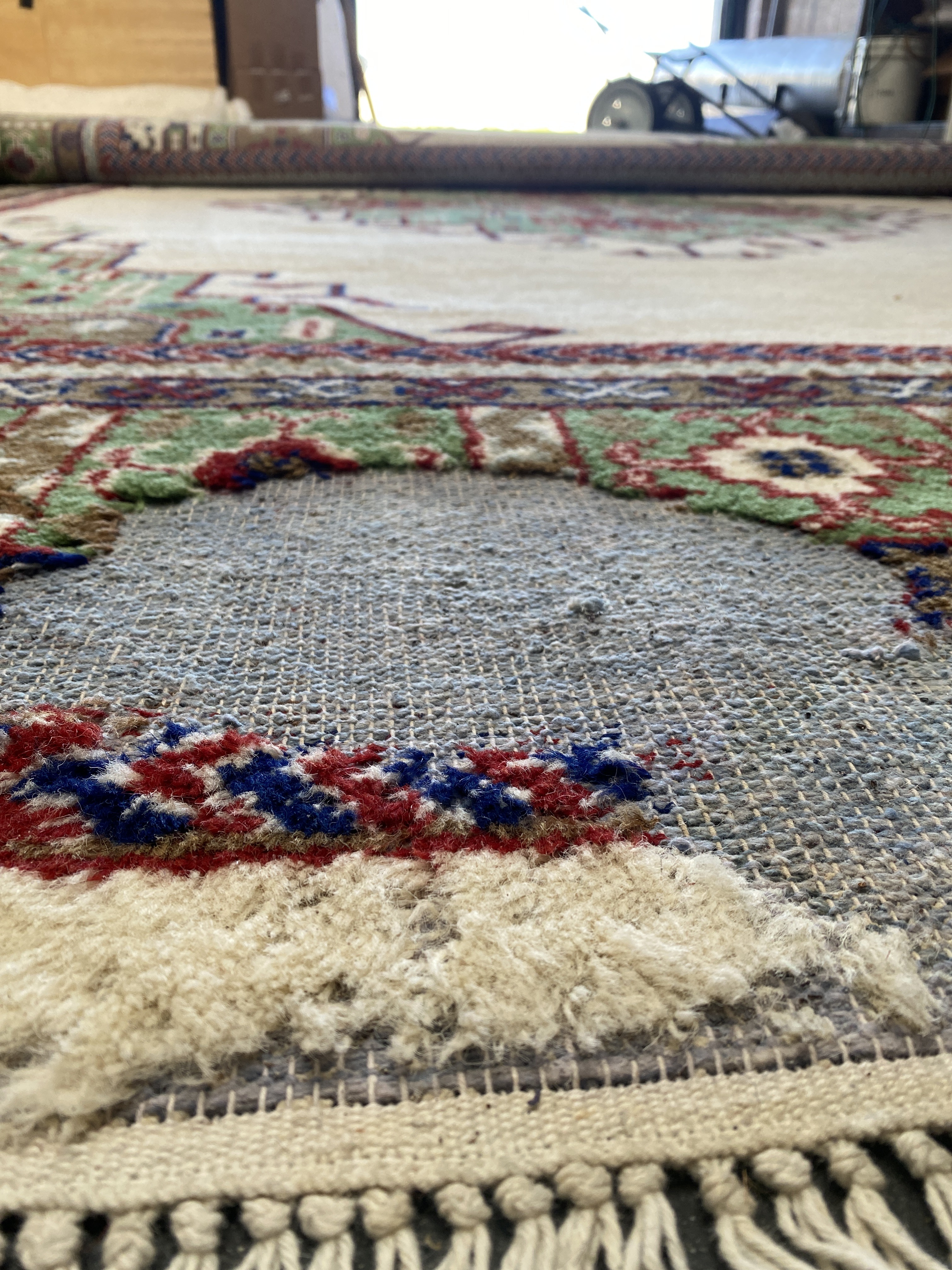 simonian moth prevention